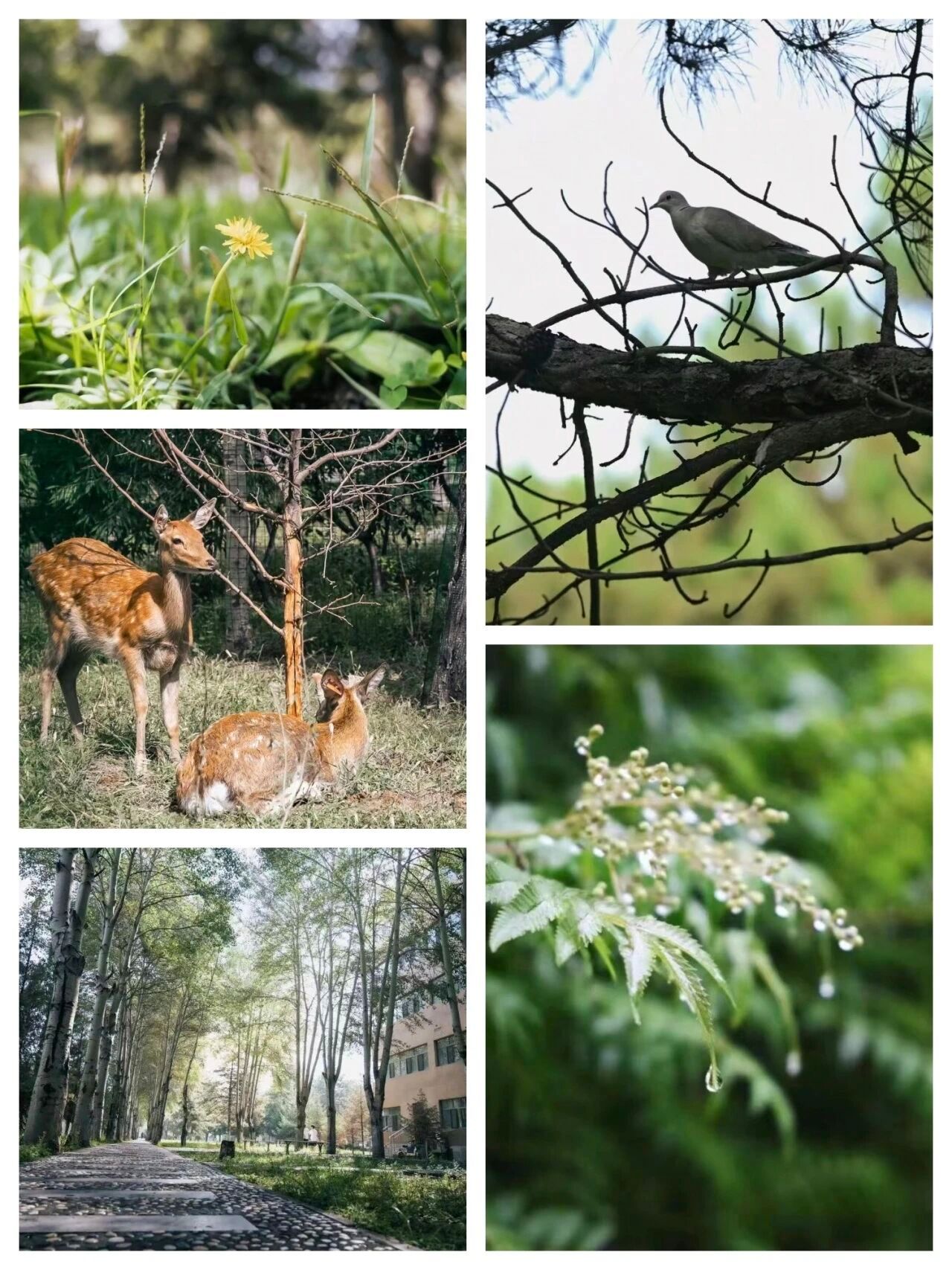 泰国东南亚3D彩票