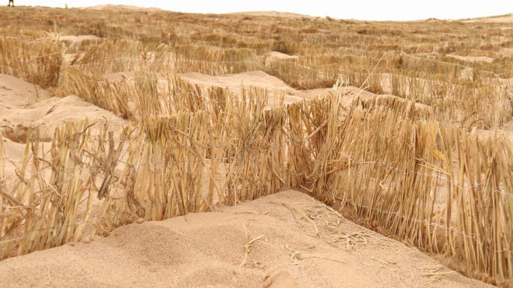 泰国东南亚3D彩票