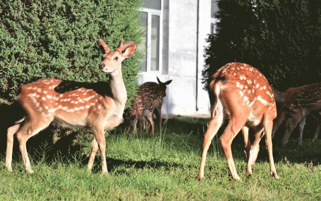 泰国东南亚3D彩票