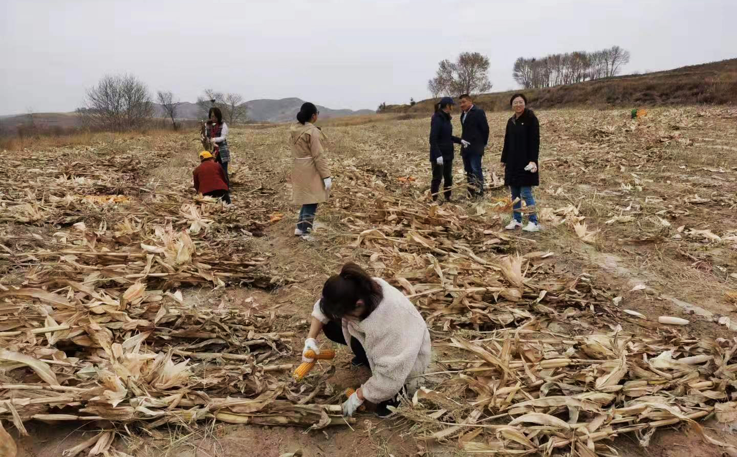 泰国东南亚3D彩票