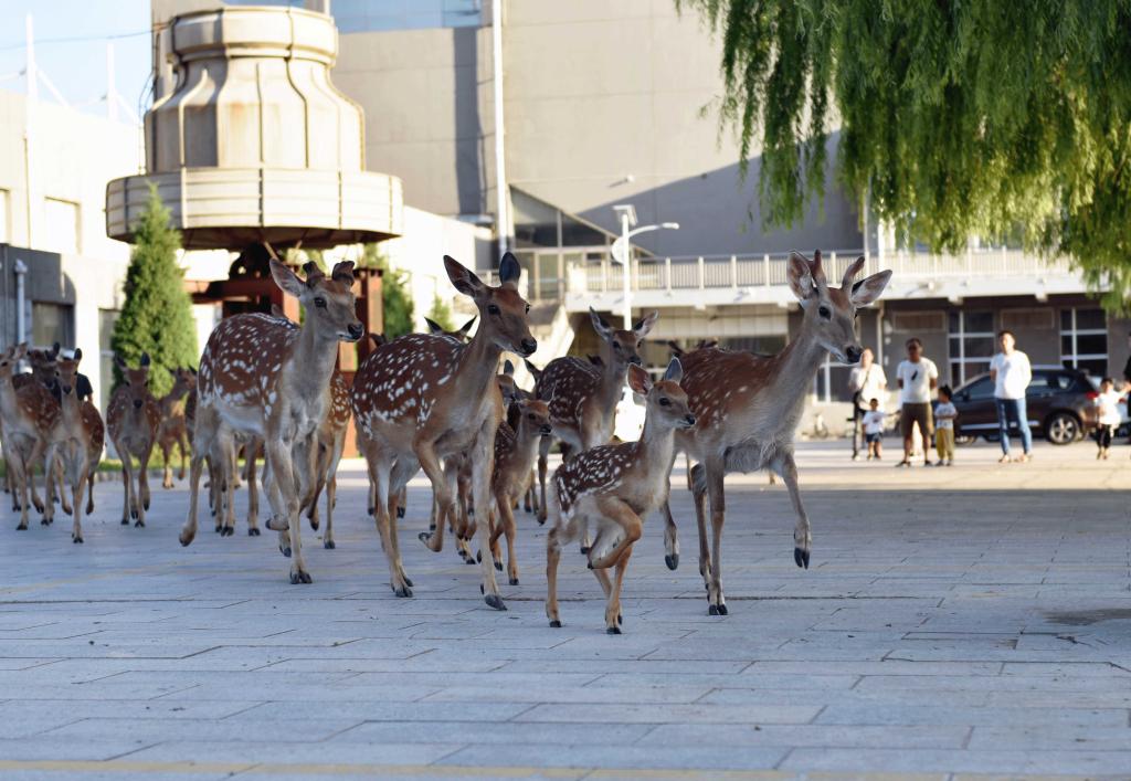 泰国东南亚3D彩票