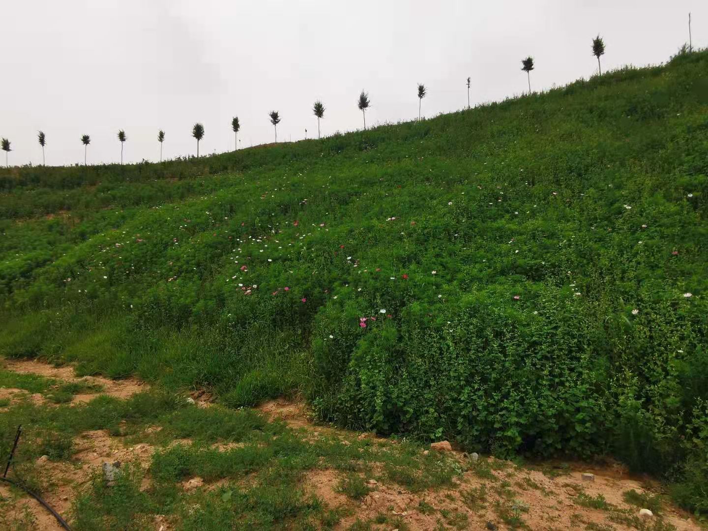 泰国东南亚3D彩票