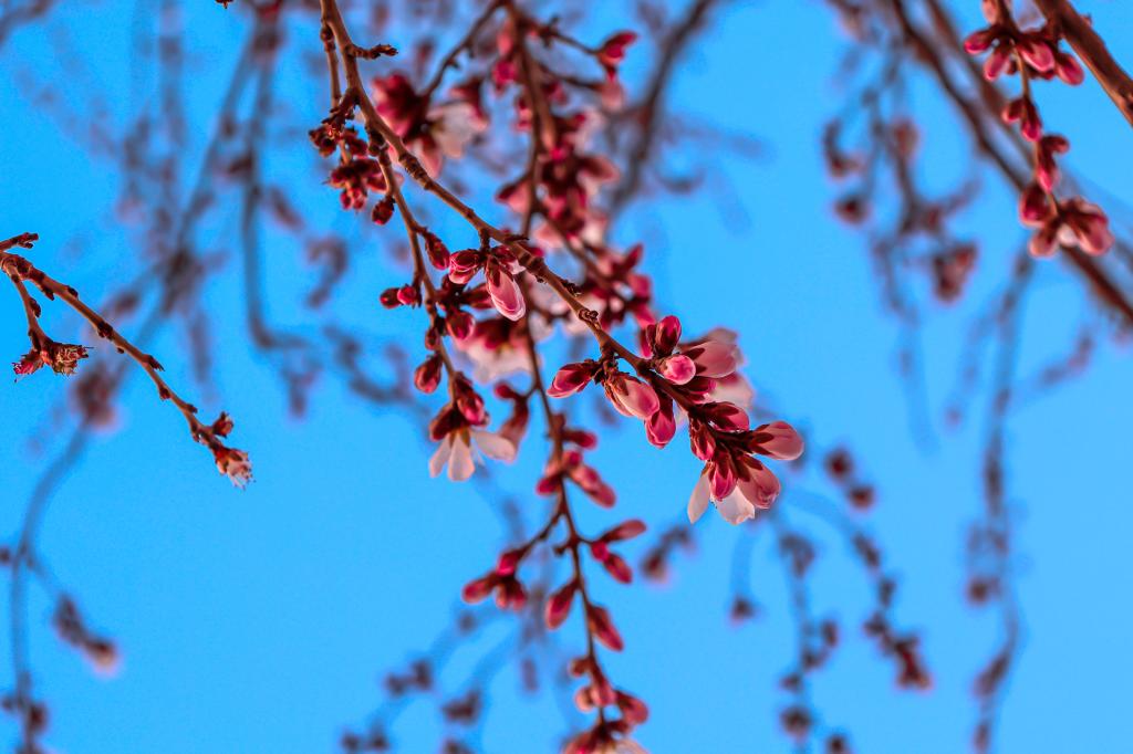 泰国东南亚3D彩票