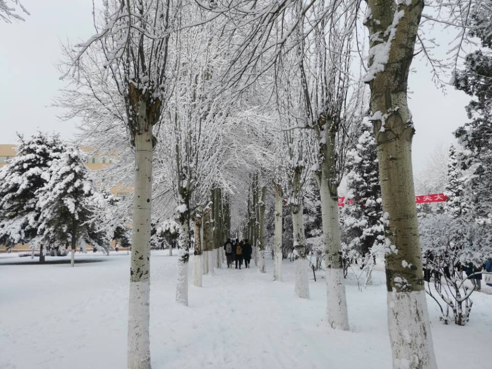 泰国东南亚3D彩票