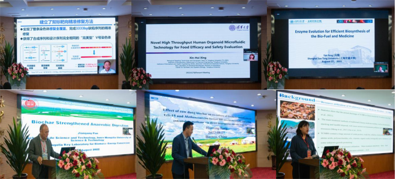 泰国东南亚3D彩票