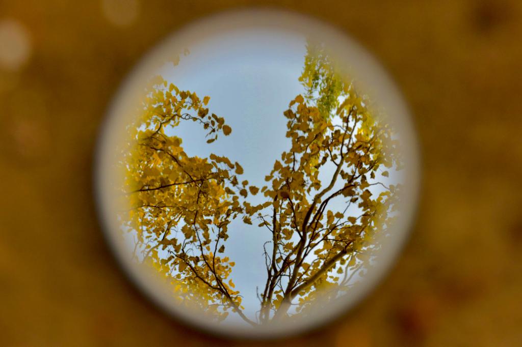 泰国东南亚3D彩票