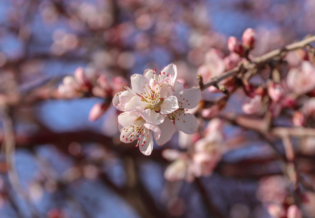 泰国东南亚3D彩票