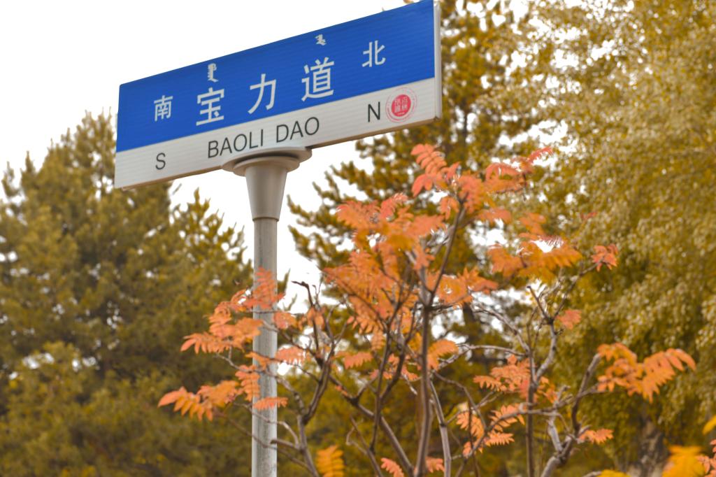 泰国东南亚3D彩票