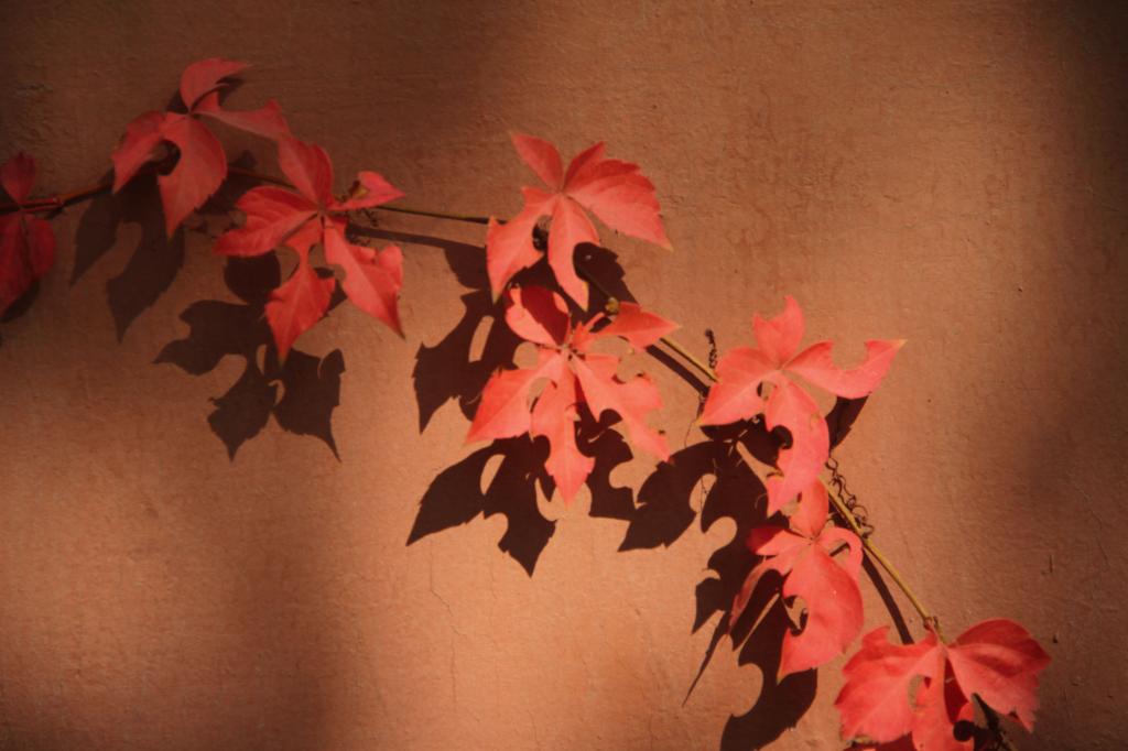 泰国东南亚3D彩票