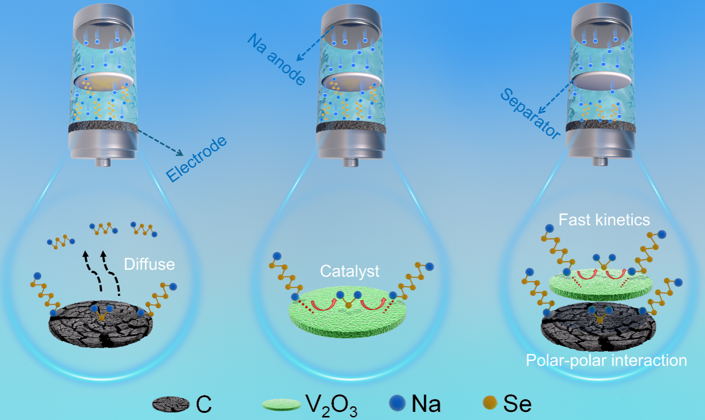 泰国东南亚3D彩票
