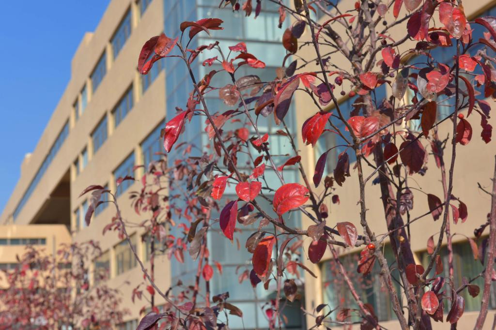 泰国东南亚3D彩票