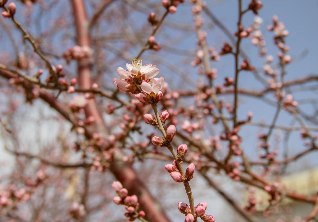 泰国东南亚3D彩票