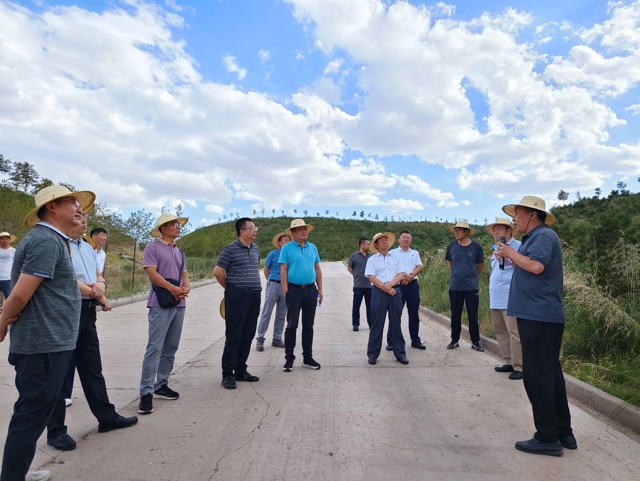 泰国东南亚3D彩票