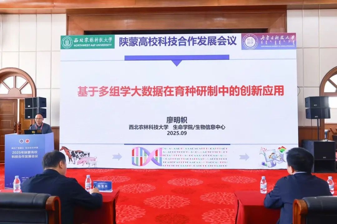 泰国东南亚3D彩票