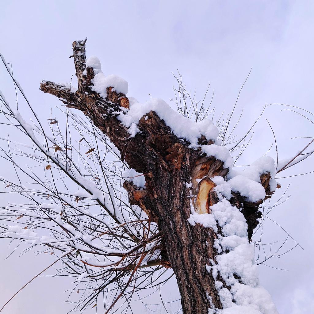 泰国东南亚3D彩票