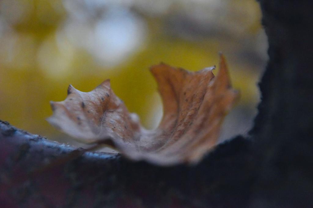 泰国东南亚3D彩票