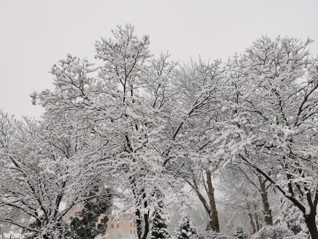 泰国东南亚3D彩票