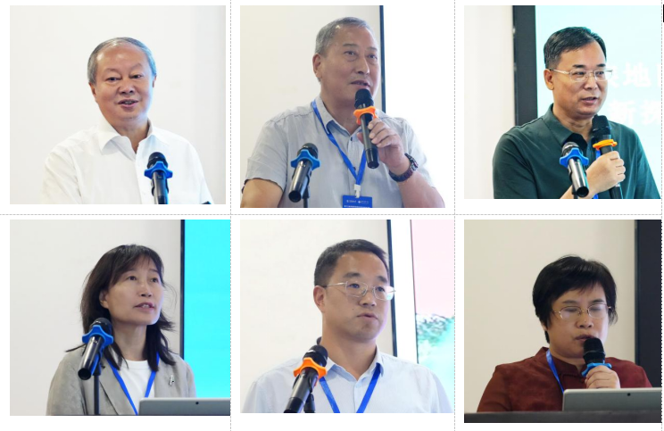 泰国东南亚3D彩票