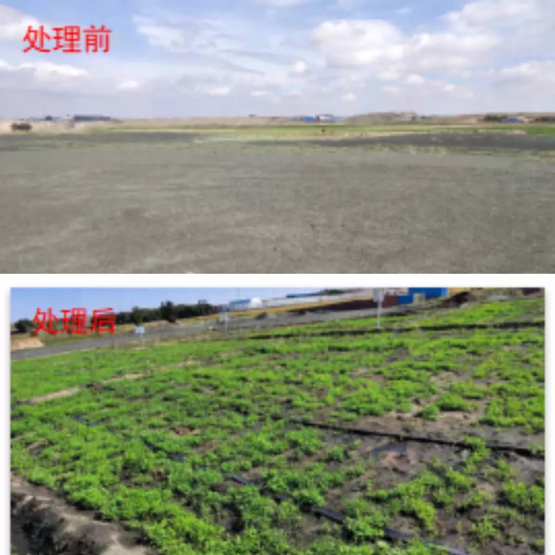 泰国东南亚3D彩票