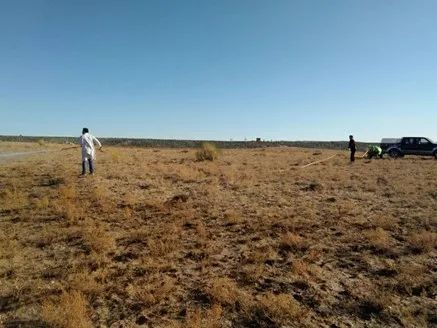 泰国东南亚3D彩票