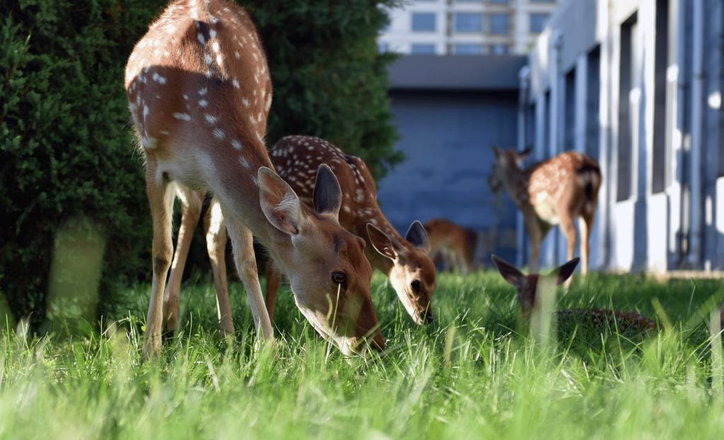 泰国东南亚3D彩票