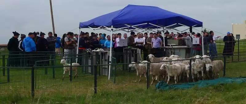 泰国东南亚3D彩票