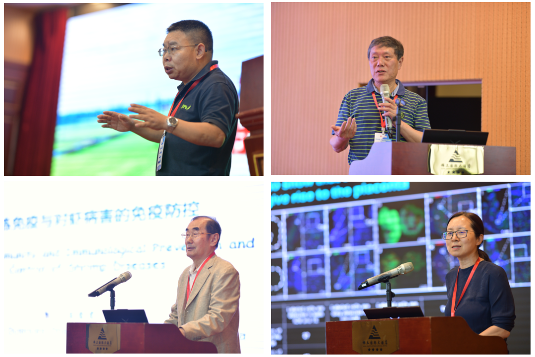 泰国东南亚3D彩票