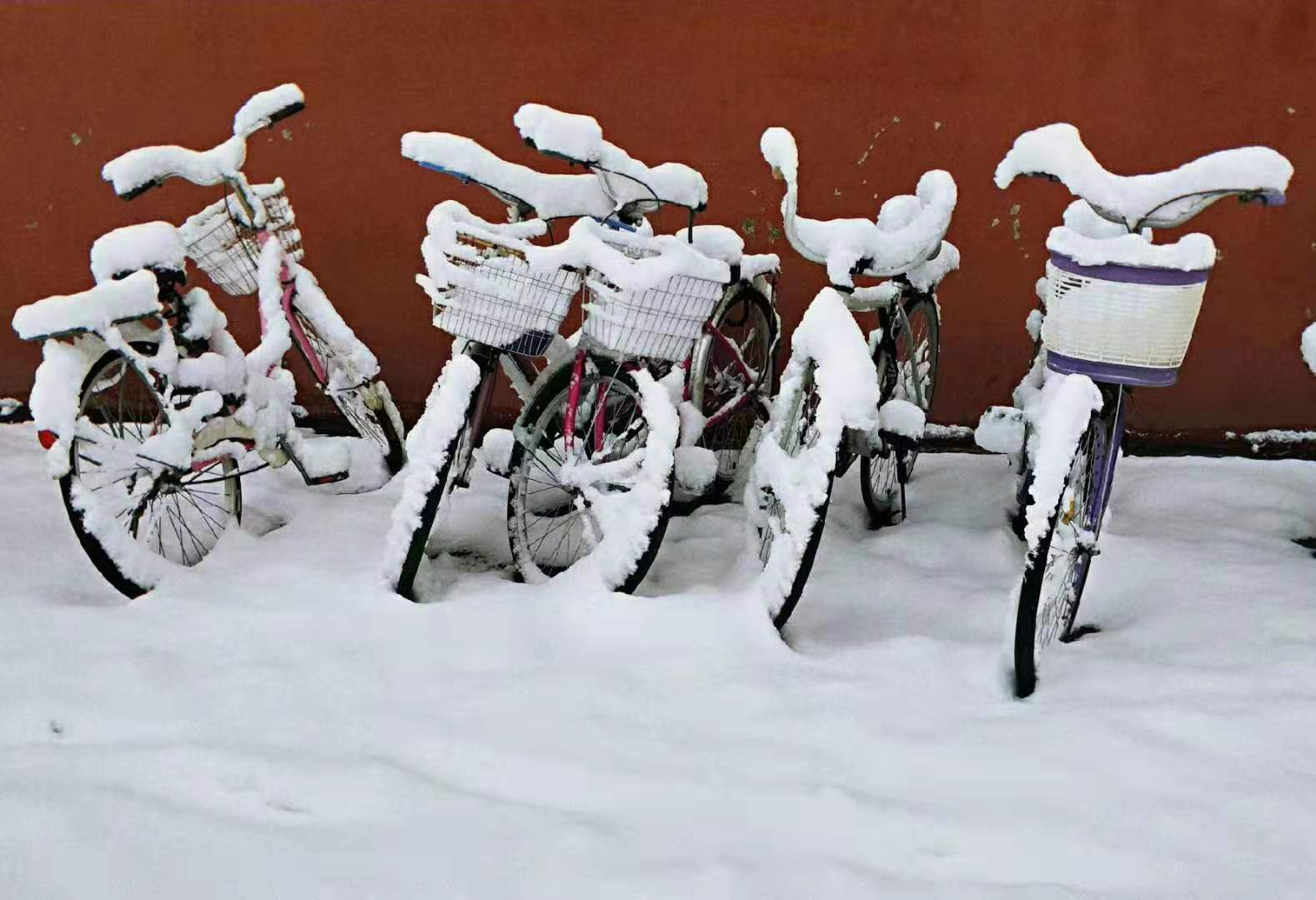 泰国东南亚3D彩票