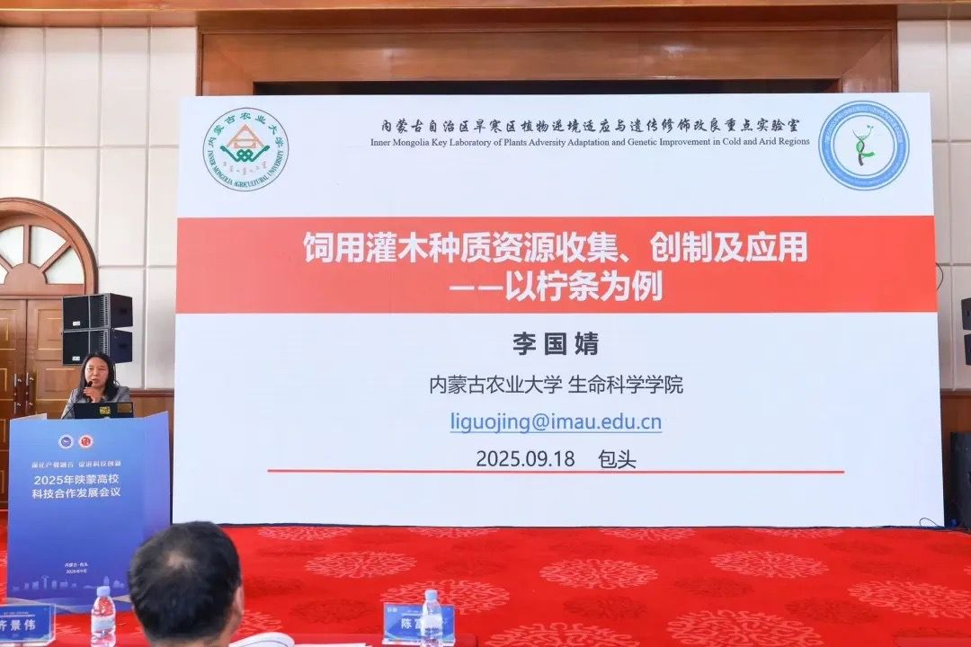 泰国东南亚3D彩票