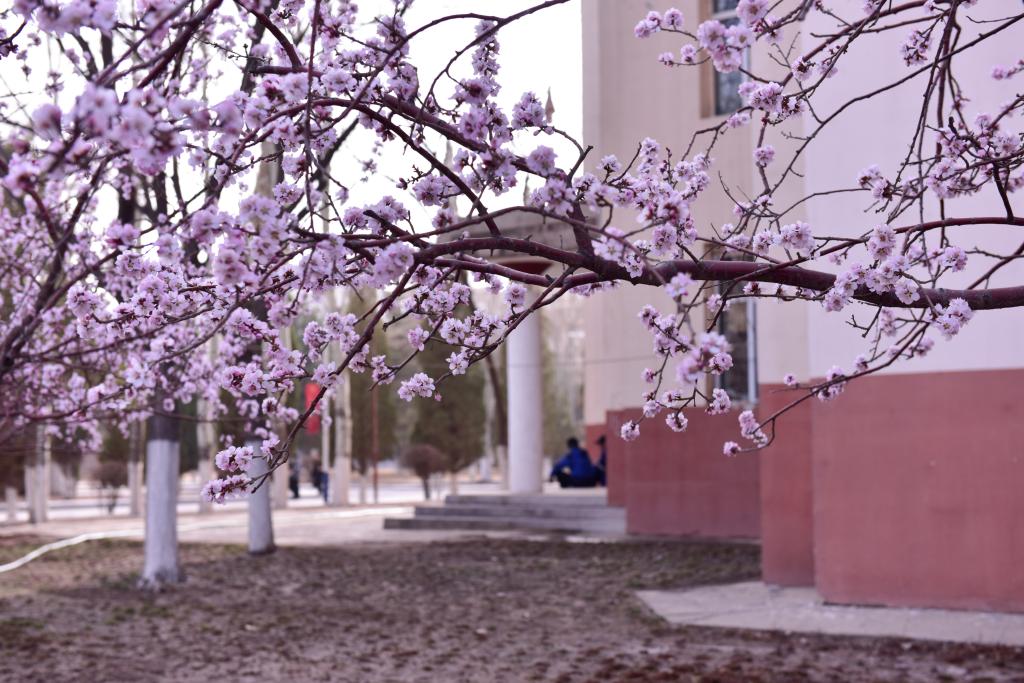 泰国东南亚3D彩票