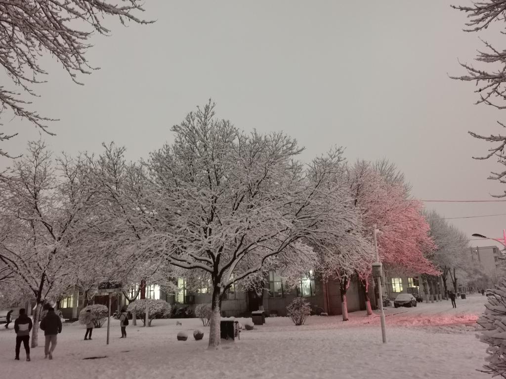 泰国东南亚3D彩票