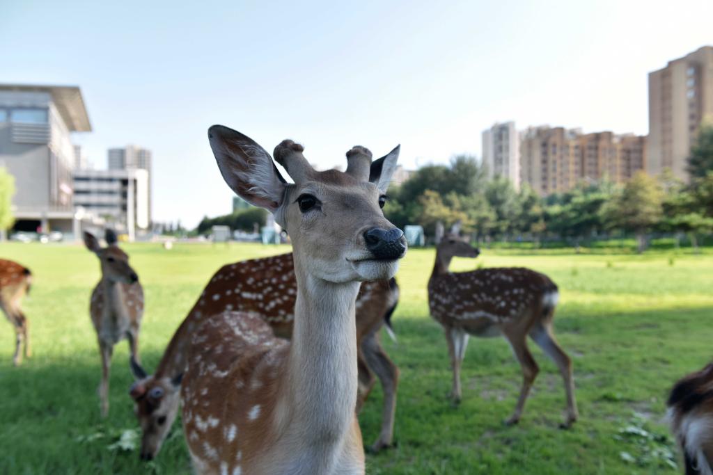 泰国东南亚3D彩票