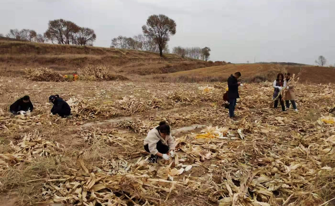 泰国东南亚3D彩票