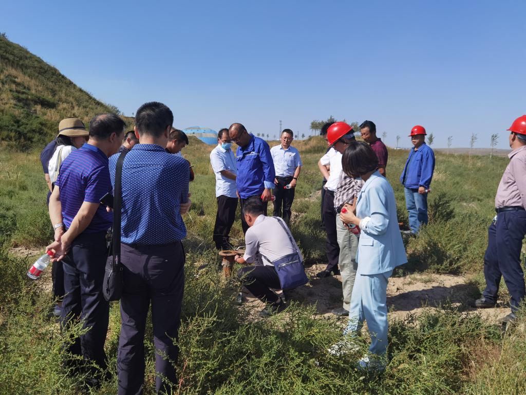 泰国东南亚3D彩票