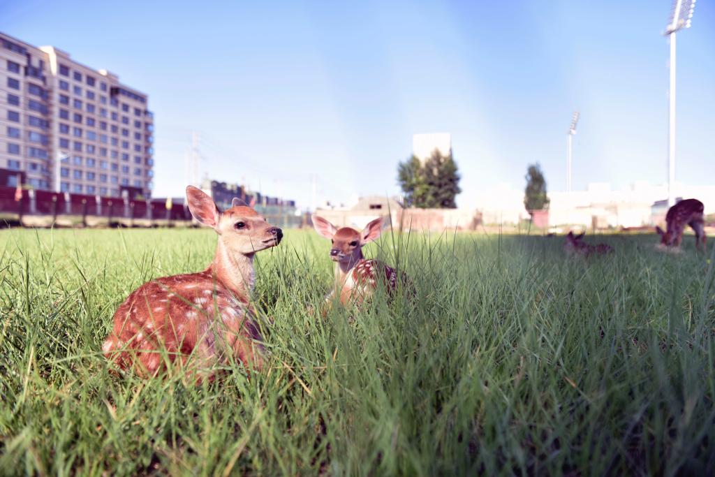 泰国东南亚3D彩票