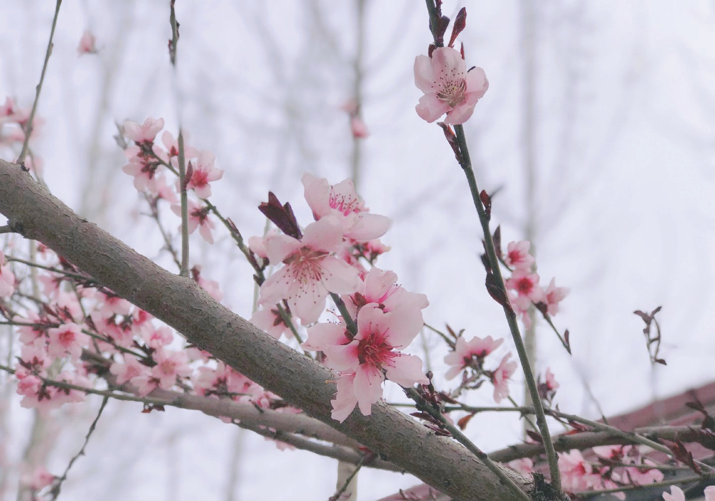 泰国东南亚3D彩票