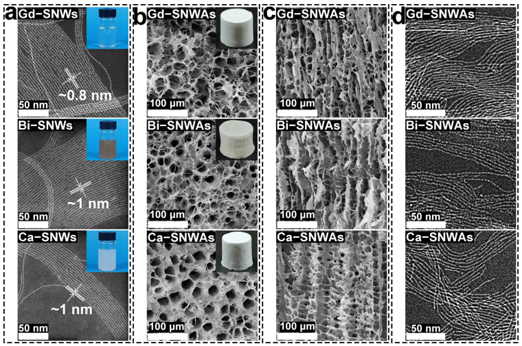 泰国东南亚3D彩票
