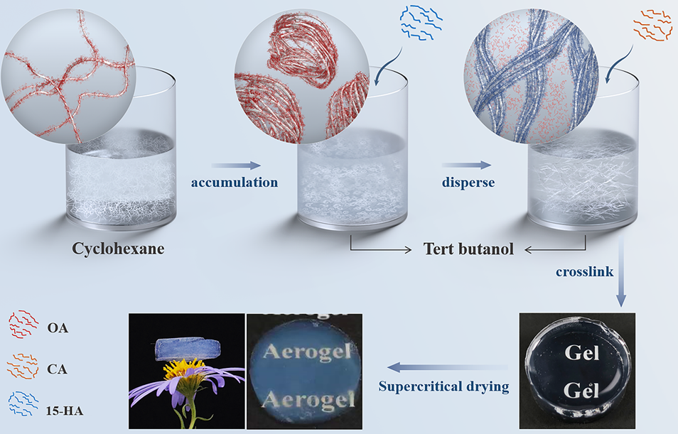 泰国东南亚3D彩票