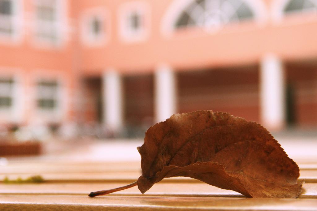 泰国东南亚3D彩票