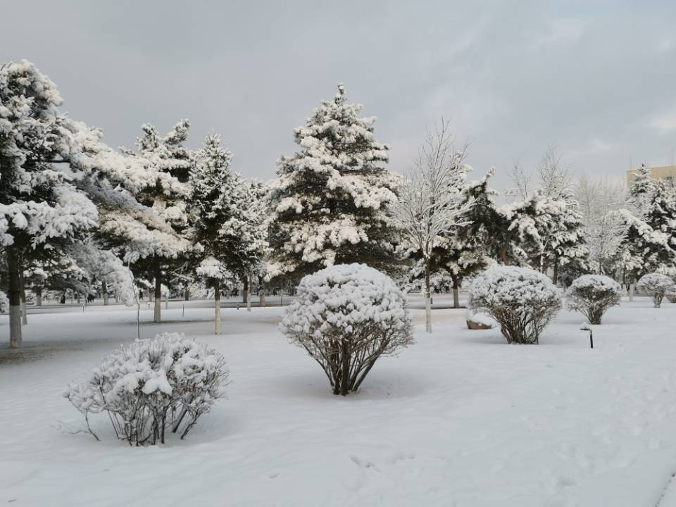 泰国东南亚3D彩票