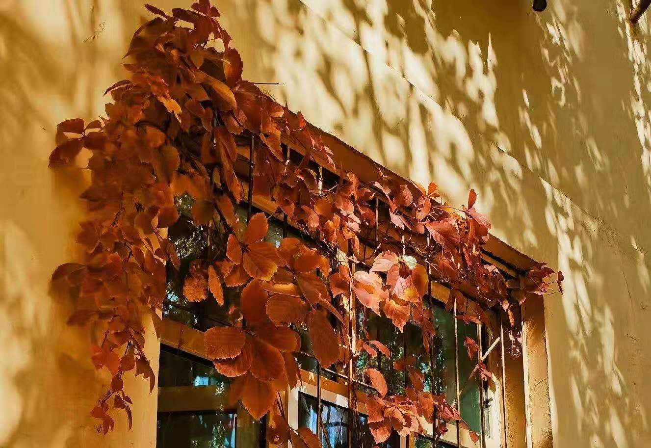 泰国东南亚3D彩票