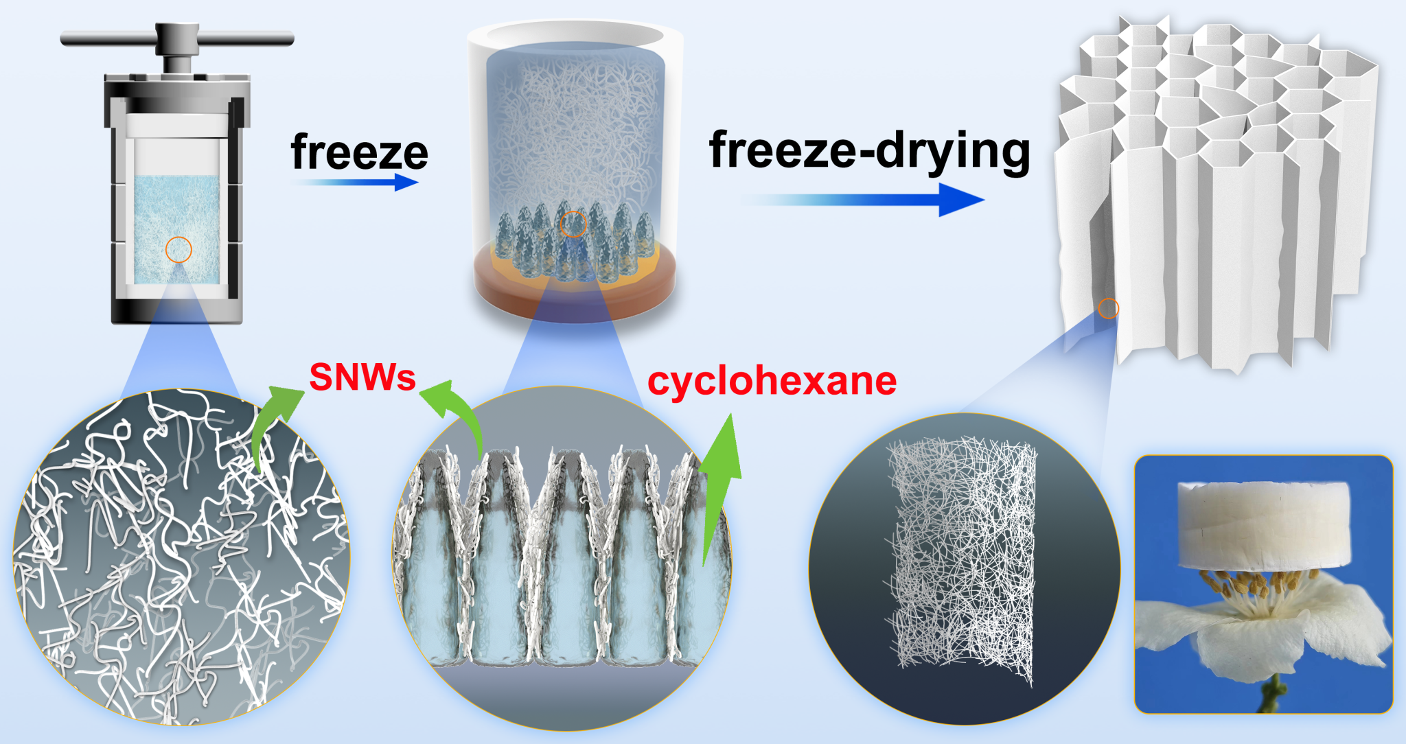 泰国东南亚3D彩票