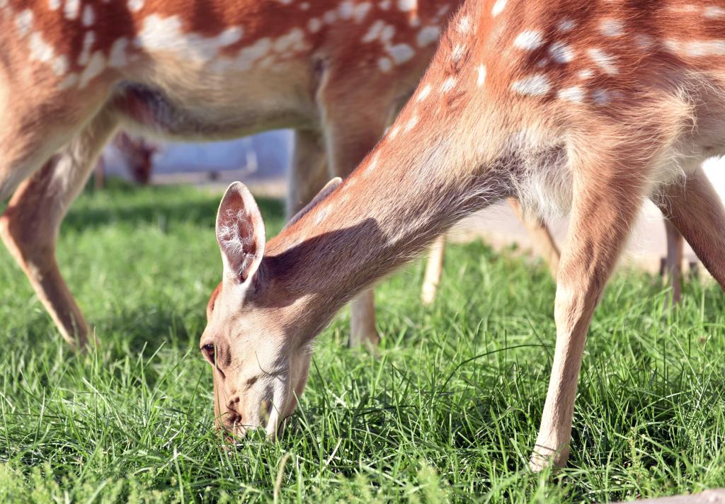 泰国东南亚3D彩票