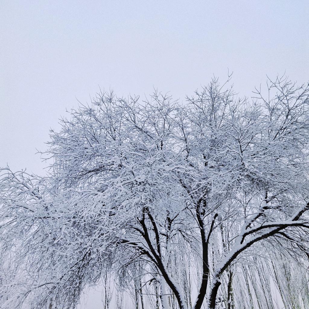 泰国东南亚3D彩票