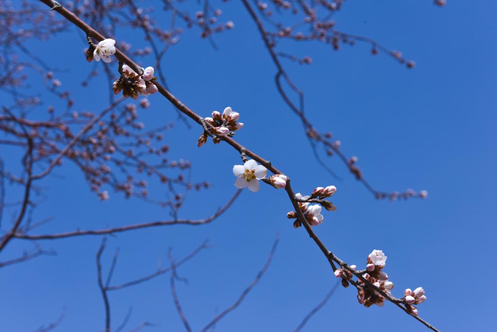 泰国东南亚3D彩票