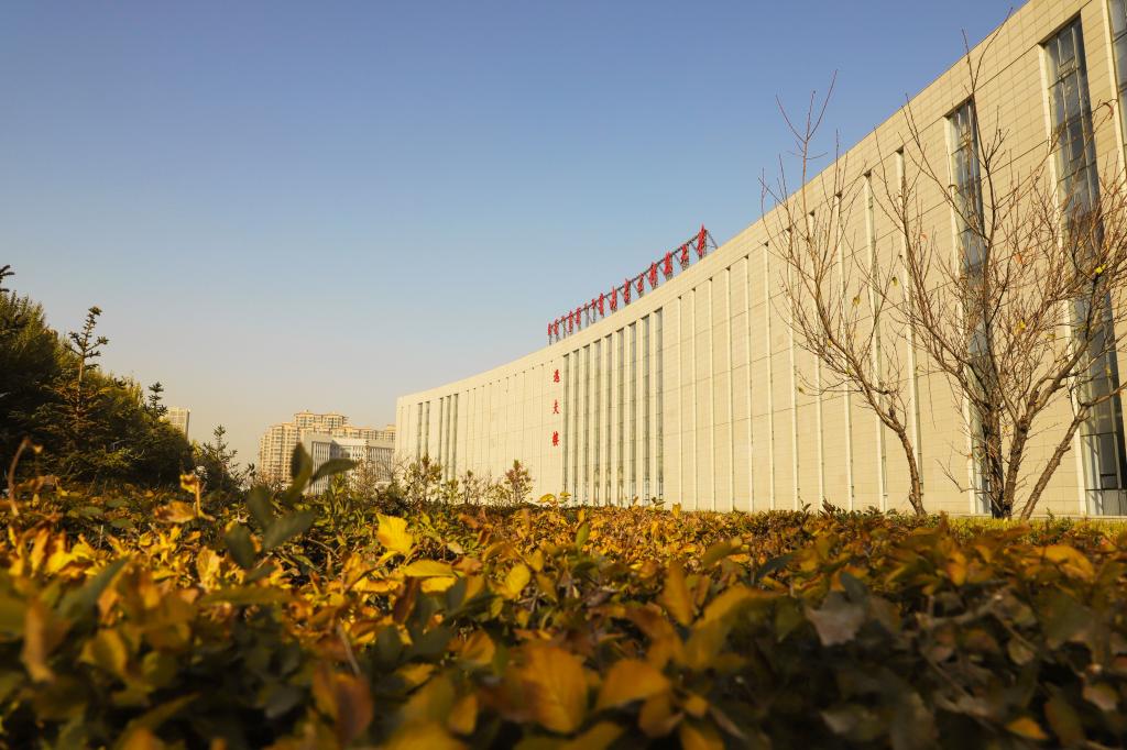 泰国东南亚3D彩票