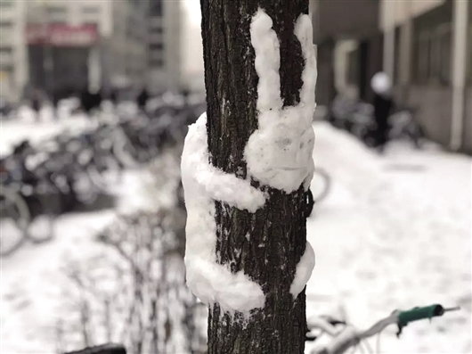 泰国东南亚3D彩票