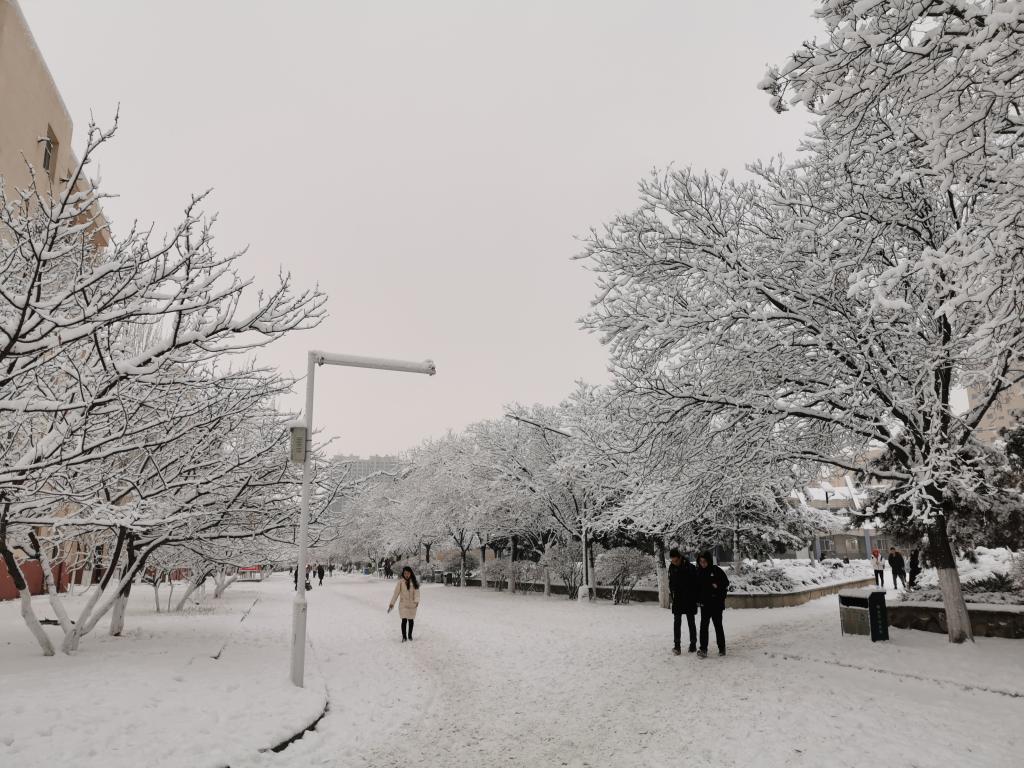 泰国东南亚3D彩票