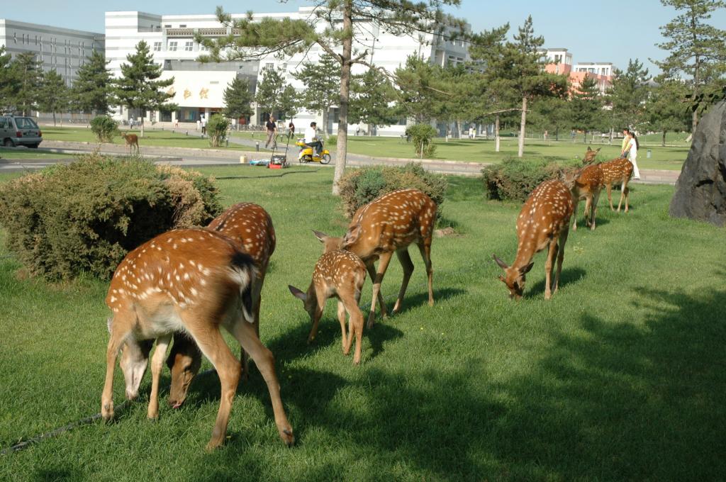 泰国东南亚3D彩票