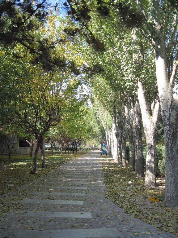 泰国东南亚3D彩票